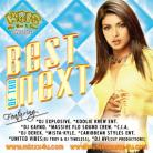 Best Of The Next Various Artist