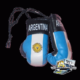 Argentina Boxing Gloves