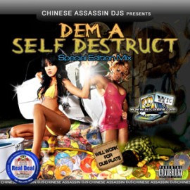 Chinese Assassin - Dem A Self Destruct