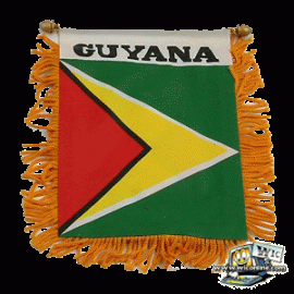 Guyana Mini Banner