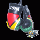 Guyana Boxing Gloves