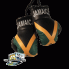 Jamaica Large Boxing Gloves