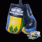 St. VINCENT and the GRENADINES Large Boxing Gloves