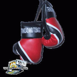 Trinidad Boxing Gloves