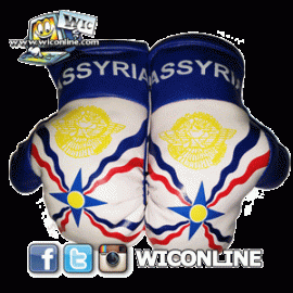 Assyria Mini Boxing Gloves