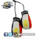 Egypt Boxing Gloves