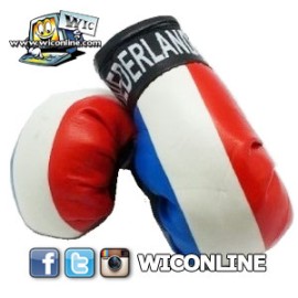 Netherlands Boxing Gloves