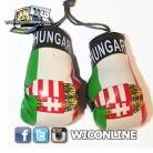 Hungary Boxing Gloves