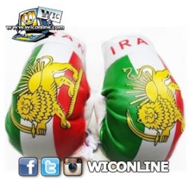 Iran Boxing Gloves