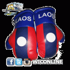 Laos Boxing Gloves