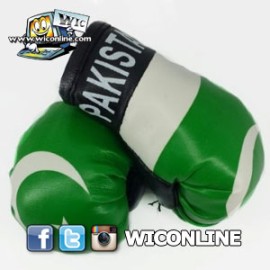 Pakistan Boxing Gloves