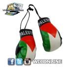 Palastine Boxing Gloves