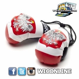 Poland Boxing Gloves