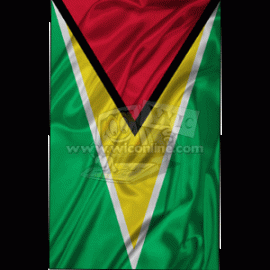 Guyana Large Flag