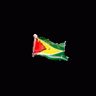 Guyana Magnetic Blinky Pin