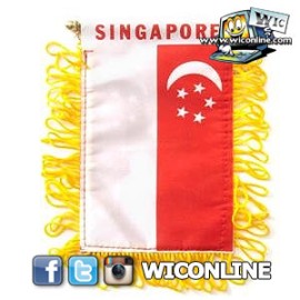 Singapore Mini Banner